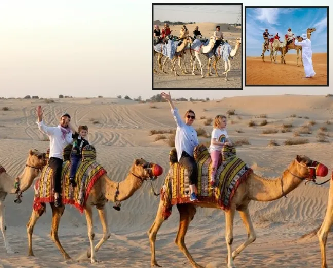 Traditional camel ride in Dubai desert